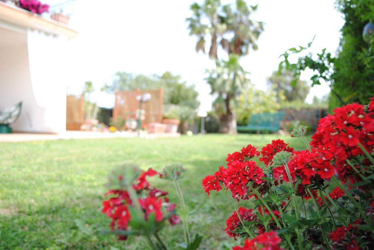 נטונו Villa Regina B&B מראה חיצוני תמונה
